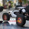 wltoys 2020 03 13 (3)