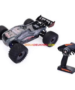 zd truggy (10)