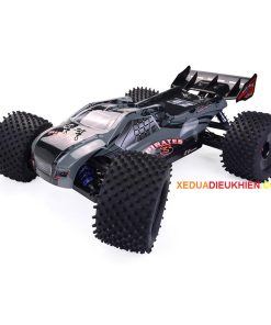 zd truggy (11)