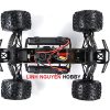 torland xl (9)