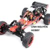 baja29cc (2)