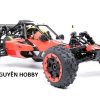 baja29cc (5)
