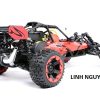 baja29cc (6)